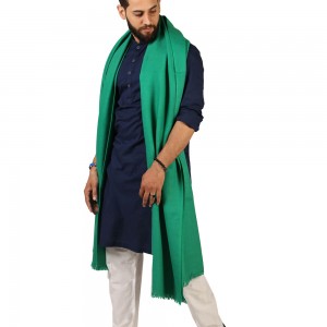 Green Pure Woolen Light Weight Pashmina Lohi Shawl For Him SHL-173