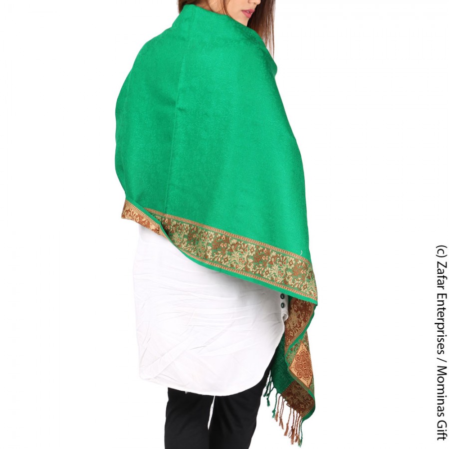 Green 4 Border Kashmiri Acro wool Stole / Muffler For Women MFL-147-3