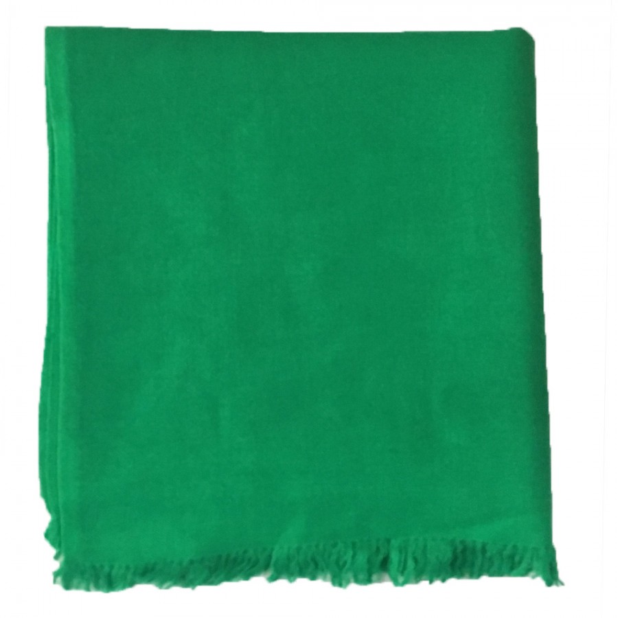 Green Pure Woolen Light Weight Pashmina Lohi Shawl For Him SHL-173