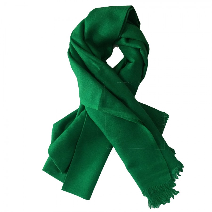 Green Pure Woolen Light Weight Pashmina Lohi Shawl For Him SHL-173