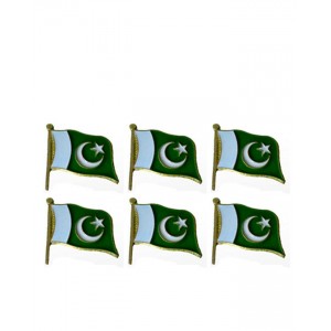 Pack of 6 Pakistan Flag Badges PAK-016